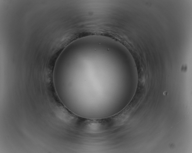 X0000093240658200709261710