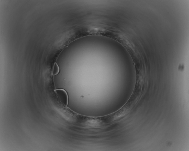 X0000093240659200709261710