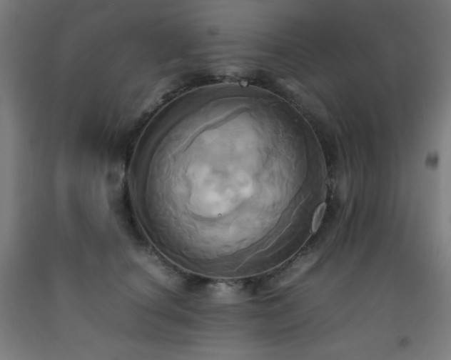 X0000093240660200709261710