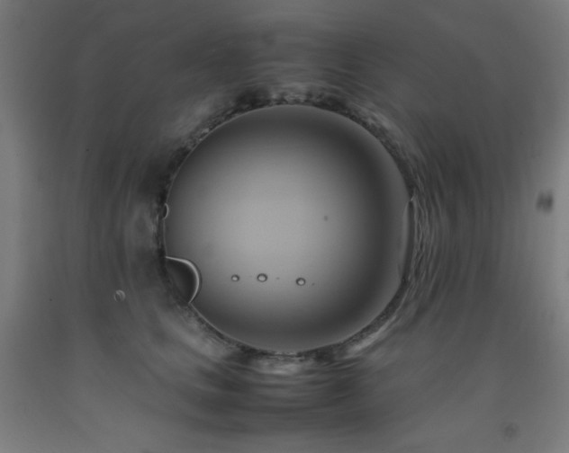 X0000093240661200709261710