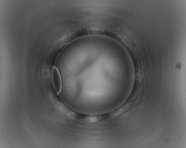 X0000093240662200709261710