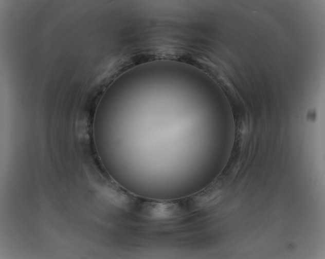 X0000093240663200709261710