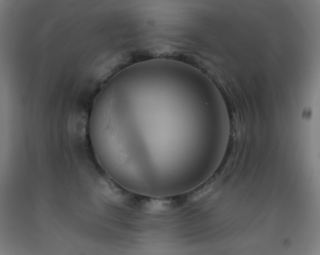 X0000093240664200709261710
