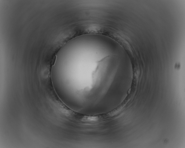 X0000093240665200709261710