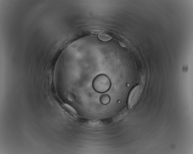X0000093240666200709261710