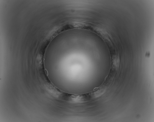 X0000093240667200709261710