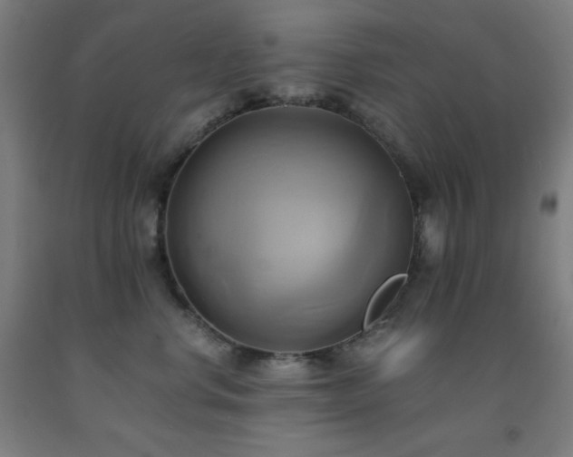 X0000093240668200709261710