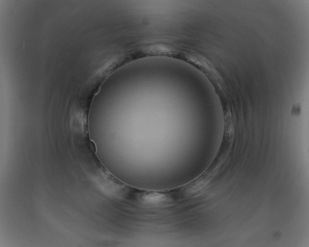 X0000093240669200709261710