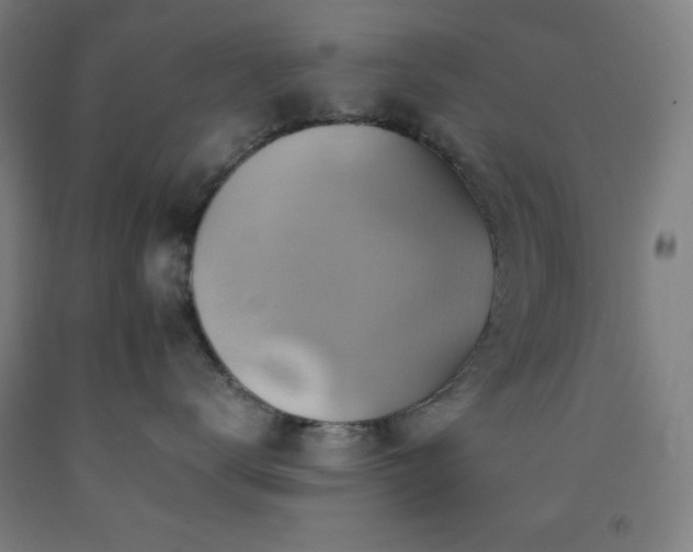 X0000093240672200709261710