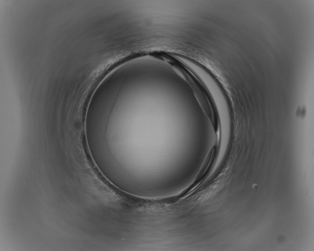 X0000093240673200709261709