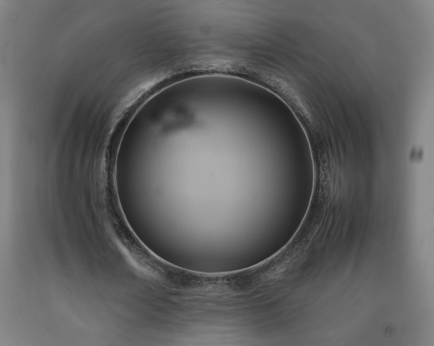 X0000093240674200709261709