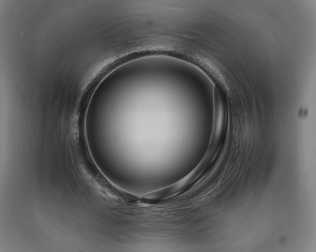 X0000093240676200709261709