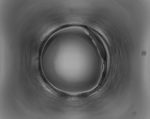 X0000093240677200709261709