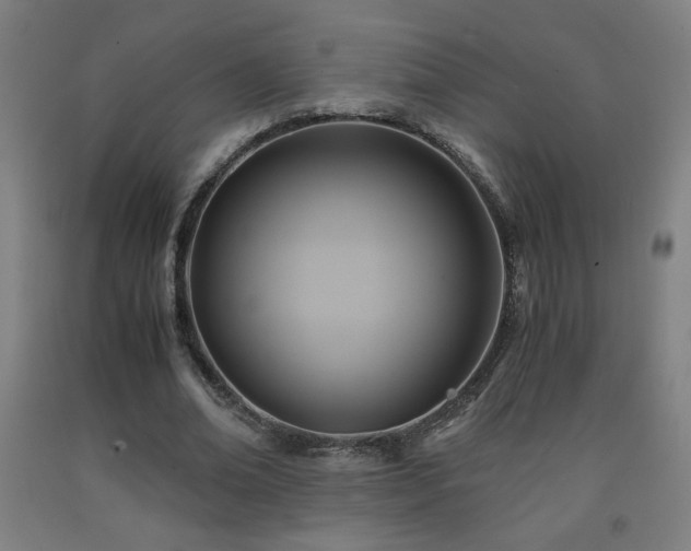 X0000093240678200709261709