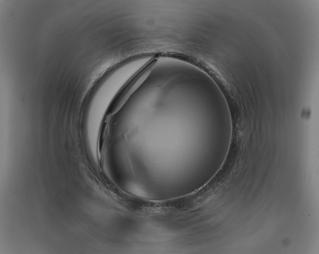 X0000093240679200709261709