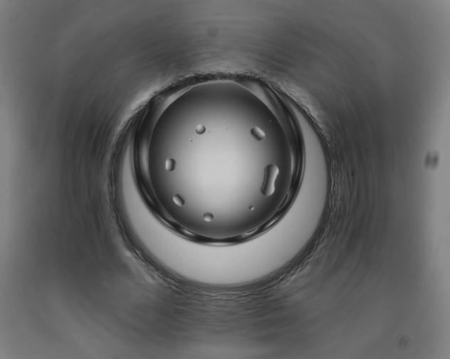 X0000093240680200709261709