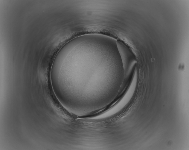 X0000093240681200709261709