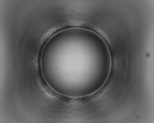 X0000093240682200709261709