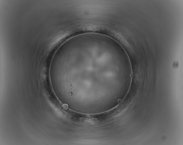 X0000093240683200709261709