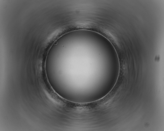 X0000093240686200709261709