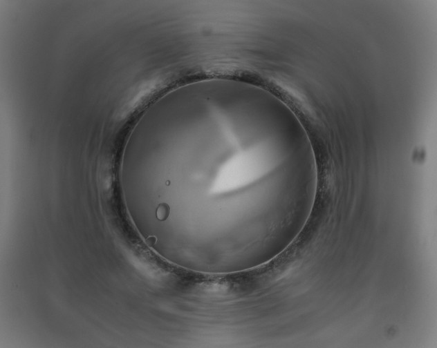 X0000093240687200709261709