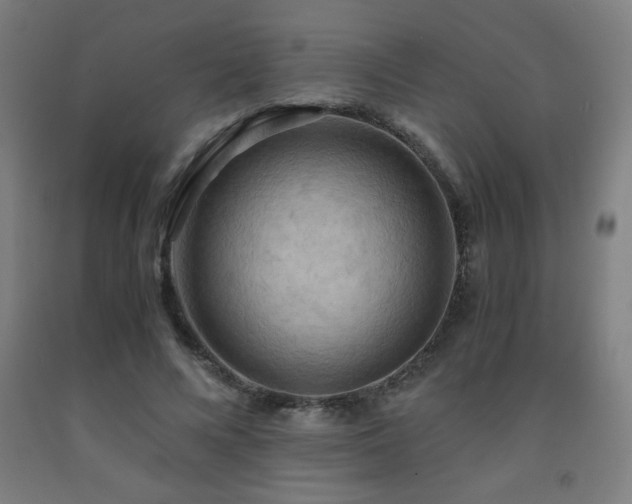 X0000093240688200709261709