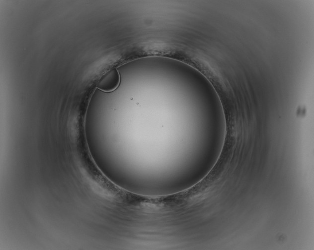 X0000093240690200709261709