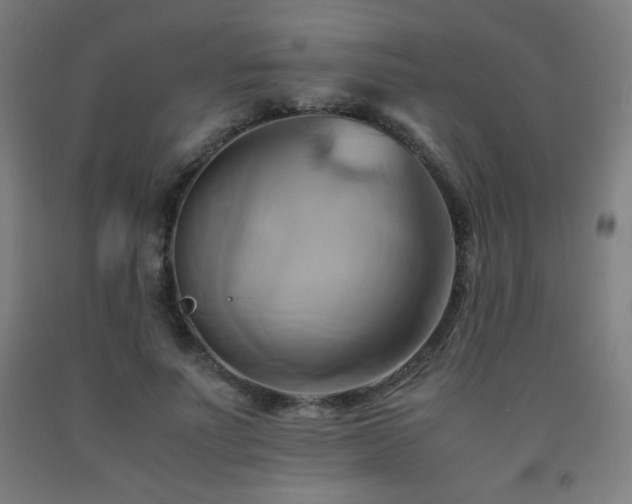 X0000093240691200709261709