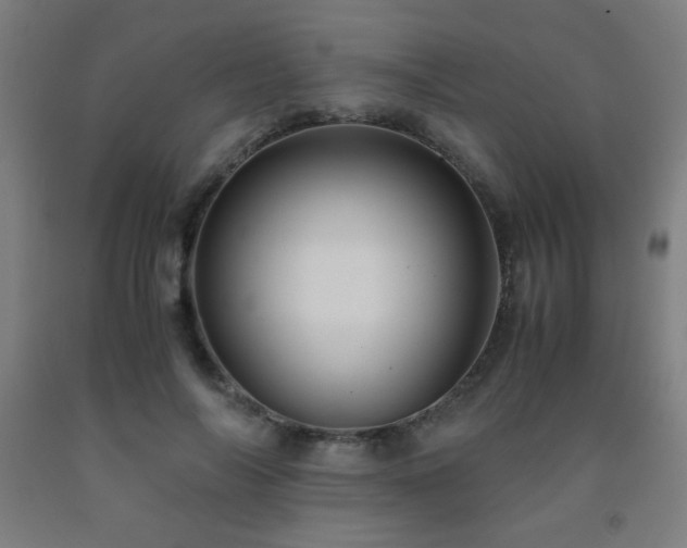 X0000093240694200709261709