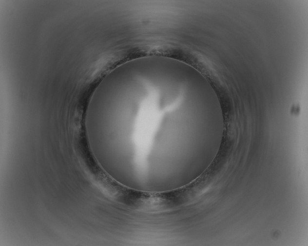 X0000093240695200709261709