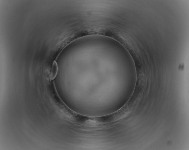 X0000093240699200709261709
