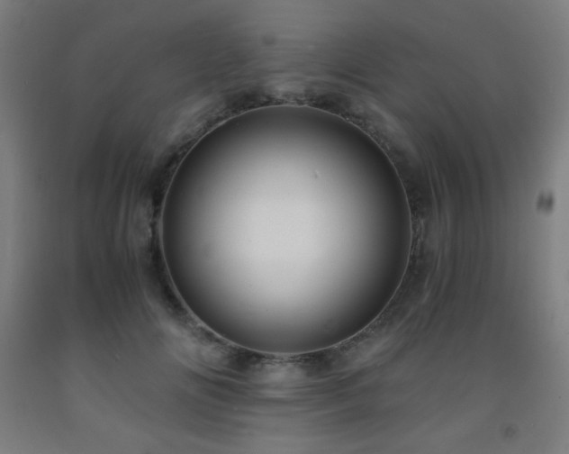 X0000093240702200709261709
