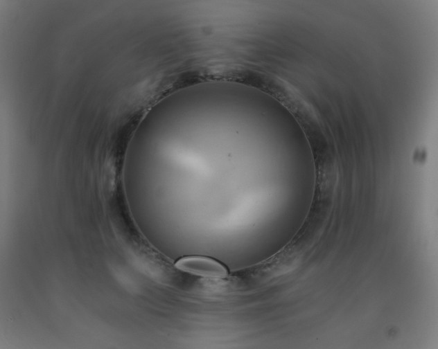 X0000093240703200709261709