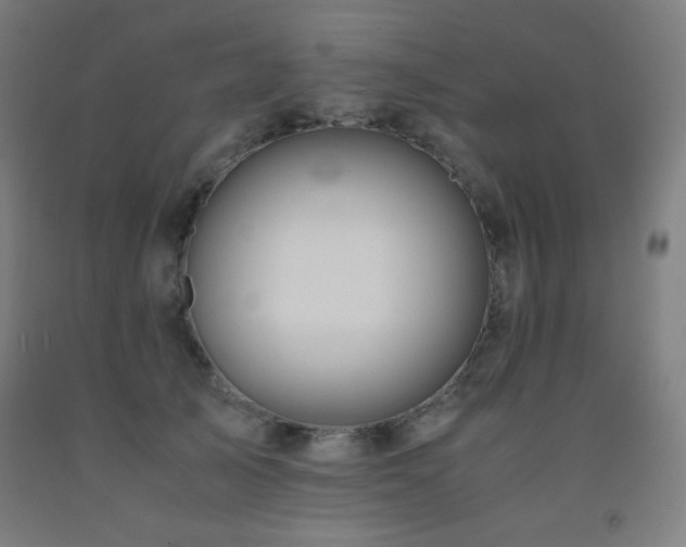X0000093240705200709261709