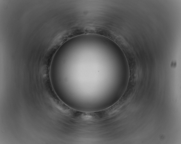 X0000093240706200709261709