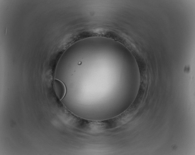 X0000093240707200709261709