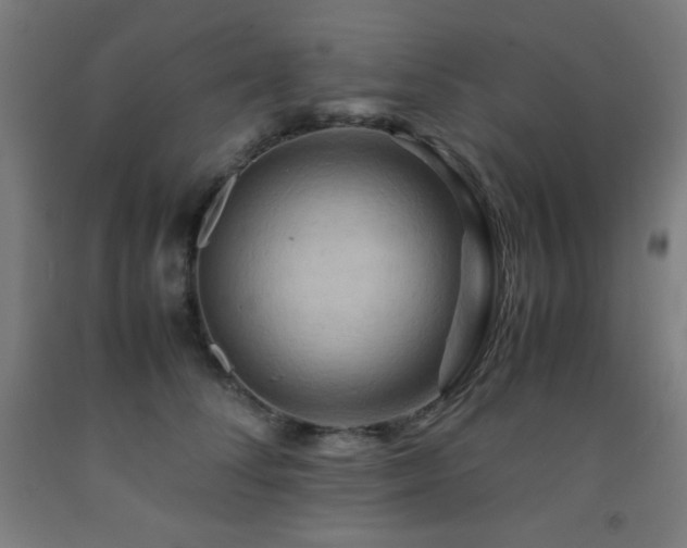 X0000093240708200709261709