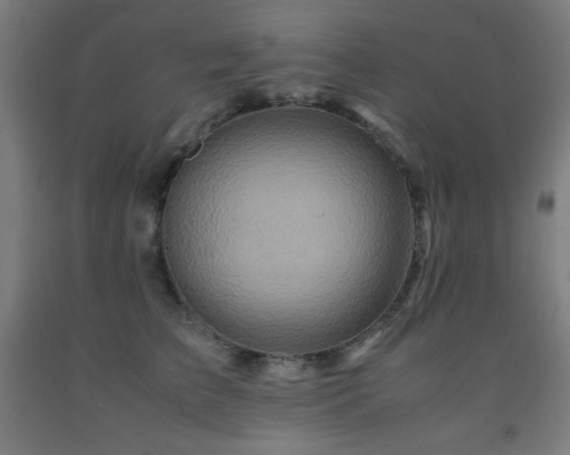 X0000093240709200709261709