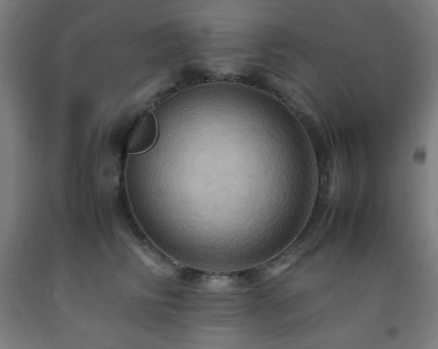 X0000093240710200709261709