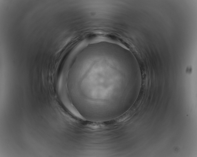 X0000093240712200709261709