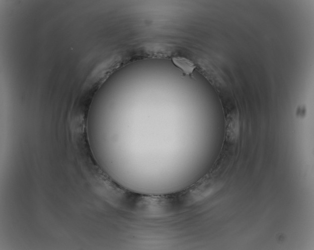 X0000093240713200709261709