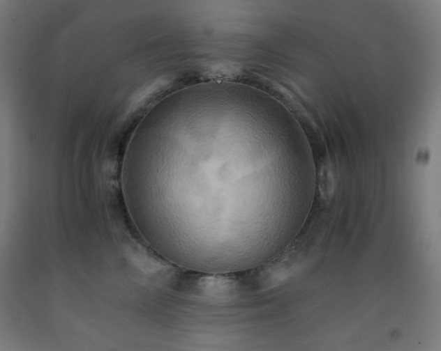 X0000093240714200709261709