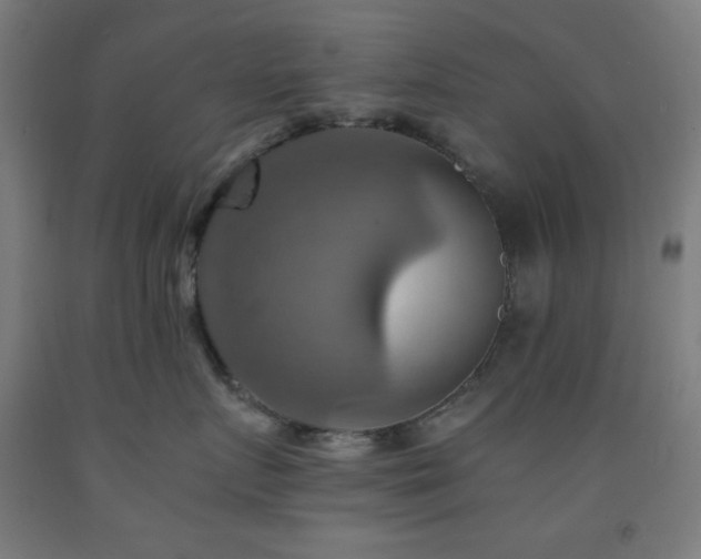 X0000093240719200709261709