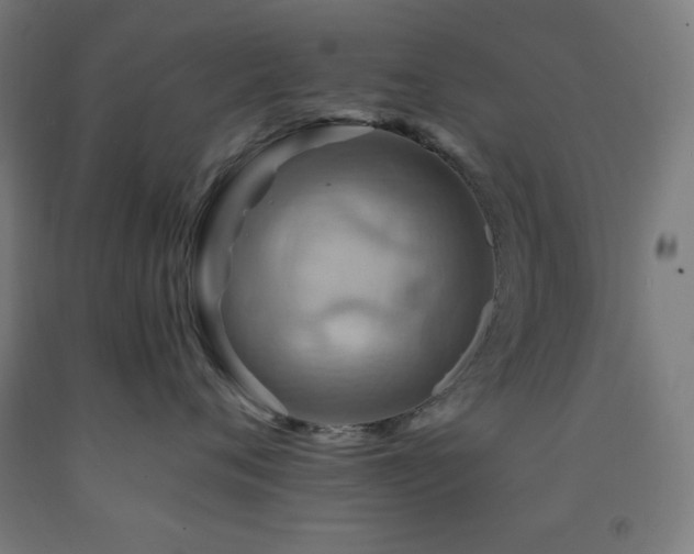 X0000093240720200709261709