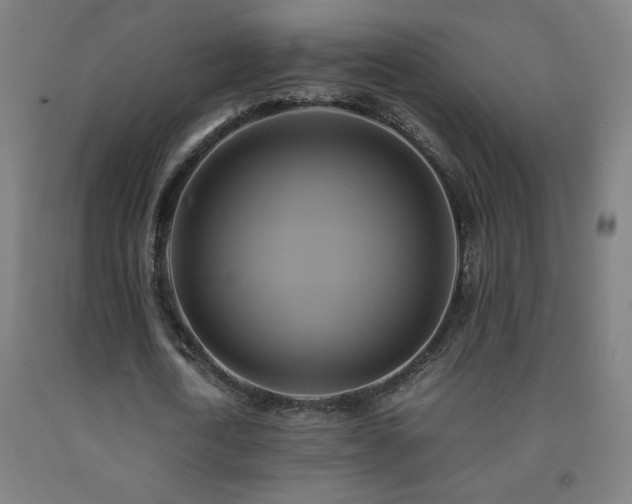 X0000093240722200709261708