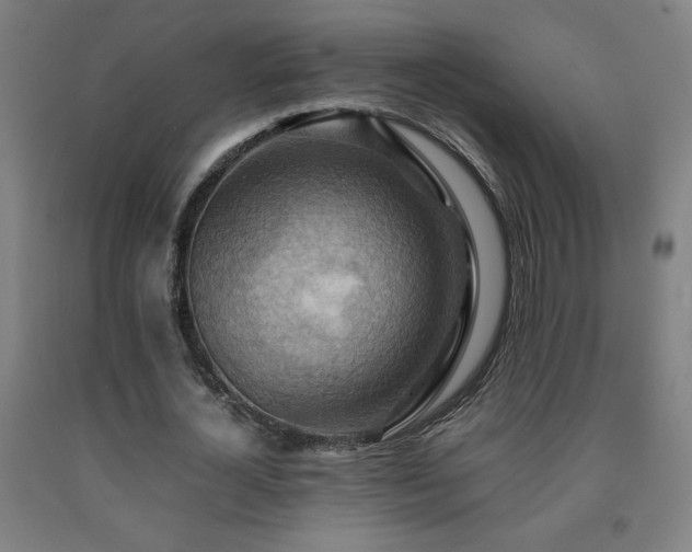 X0000093240724200709261708
