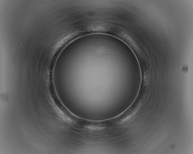 X0000093240725200709261708