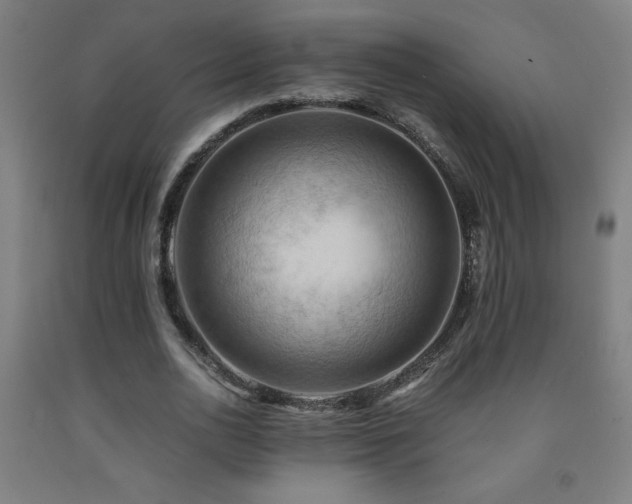 X0000093240726200709261708