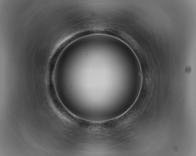 X0000093240728200709261708