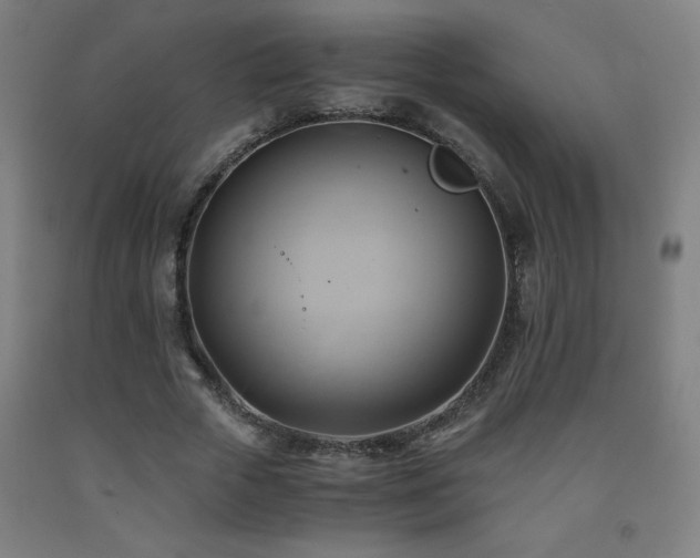 X0000093240729200709261708